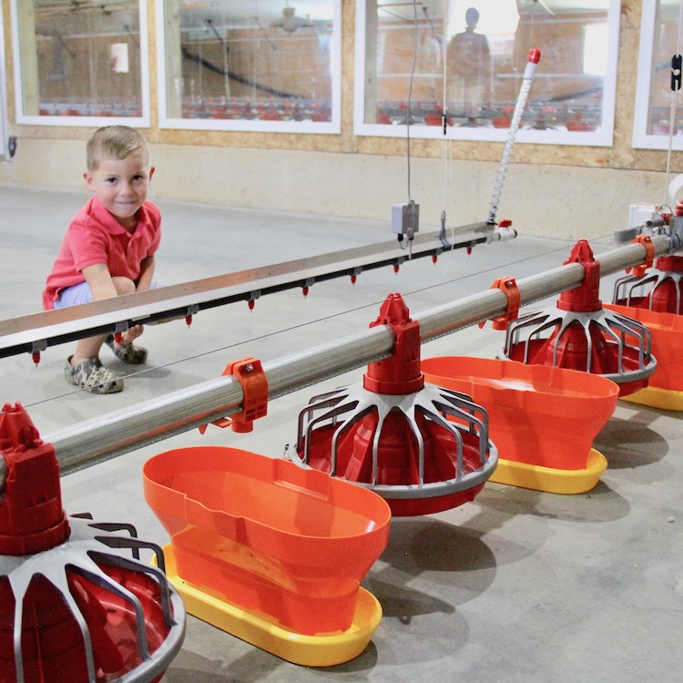 Cooley Farms Demystifies Poultry Farming, Opens Farm to Public